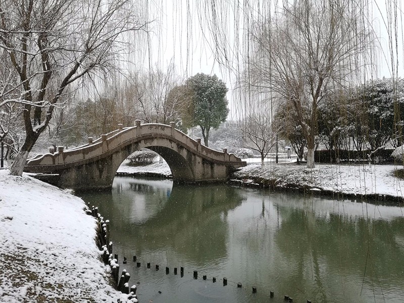张明3.jpg