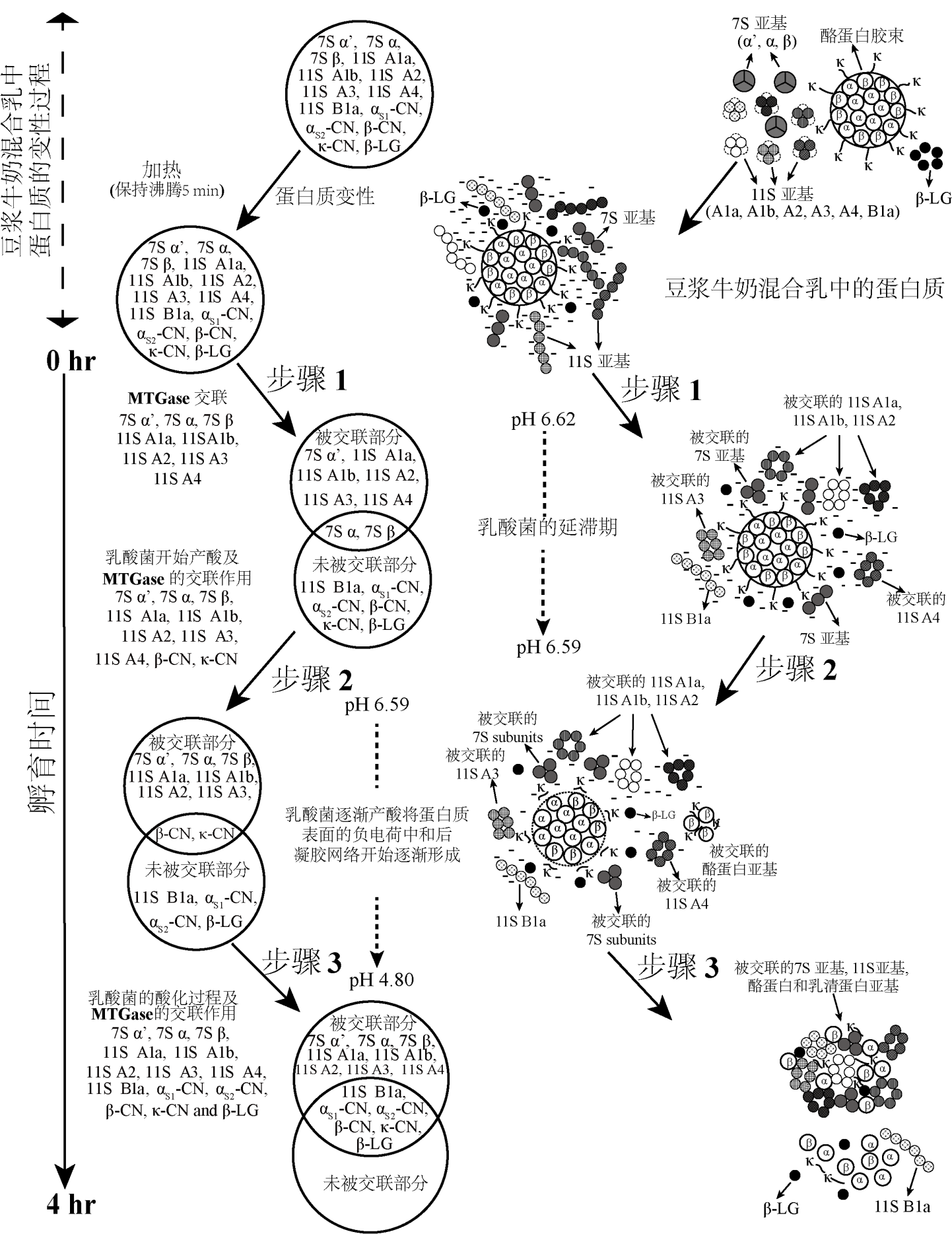 202304211682055266118189.png 图片2.png