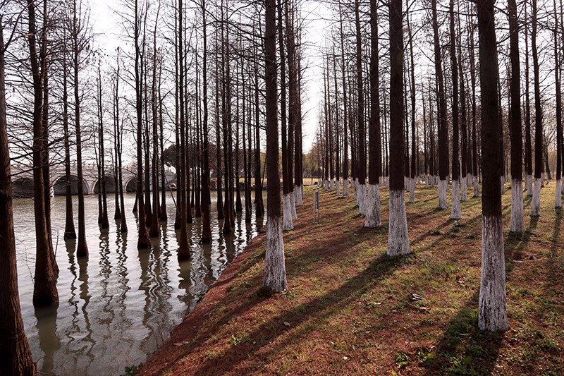B03I7028.jpg
