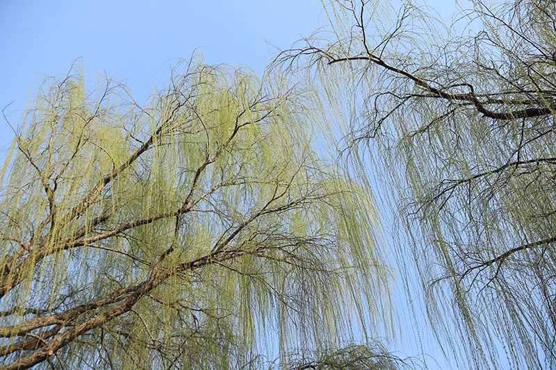 B03I7047.jpg