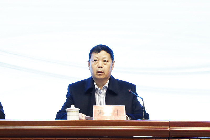 朱书记做总结报告.JPG