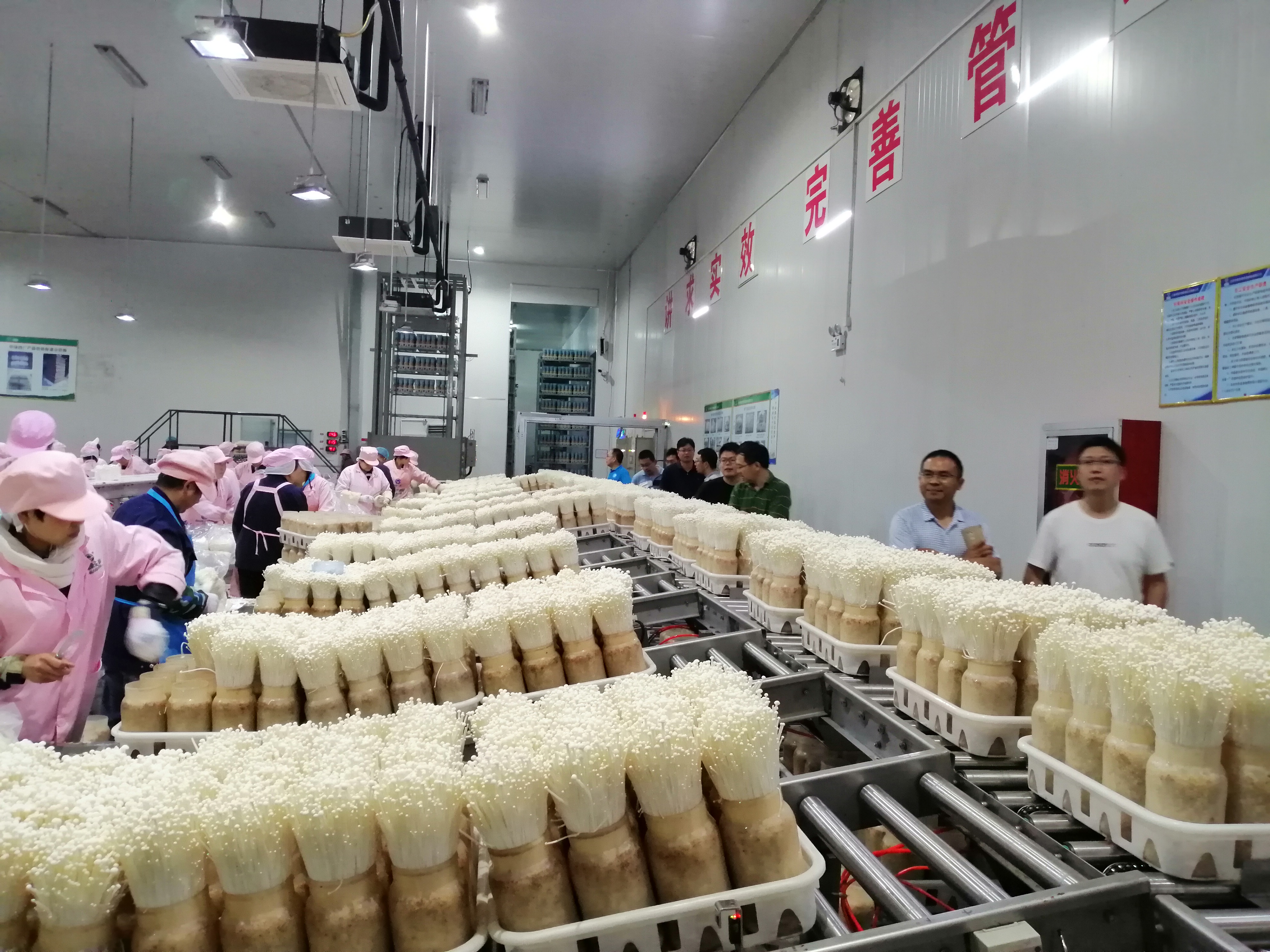 TIM图片20190627101223.jpg