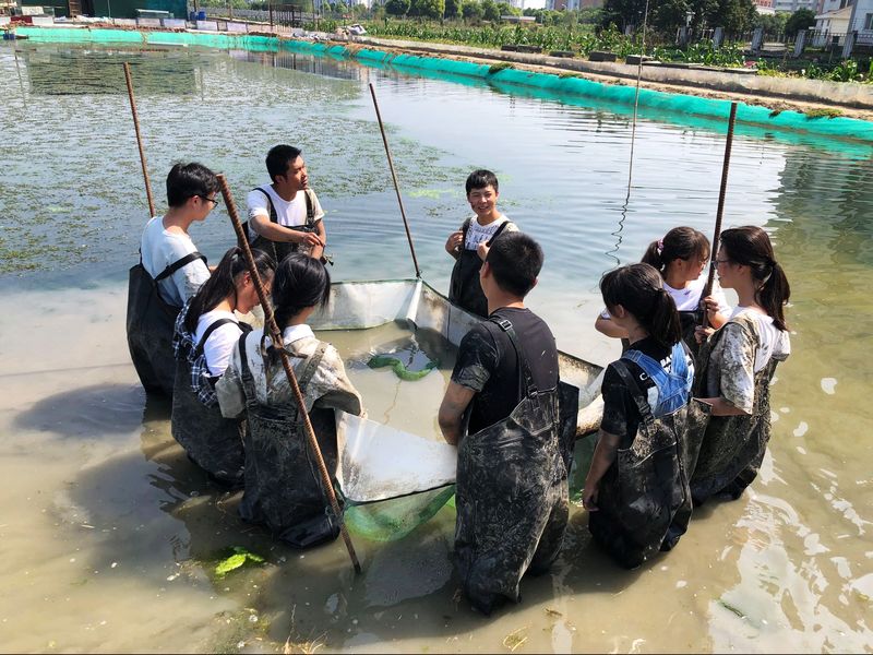 202105211621567092706456.jpg 绿色农业与生态保护协会-大闸蟹养殖地学习.jpg
