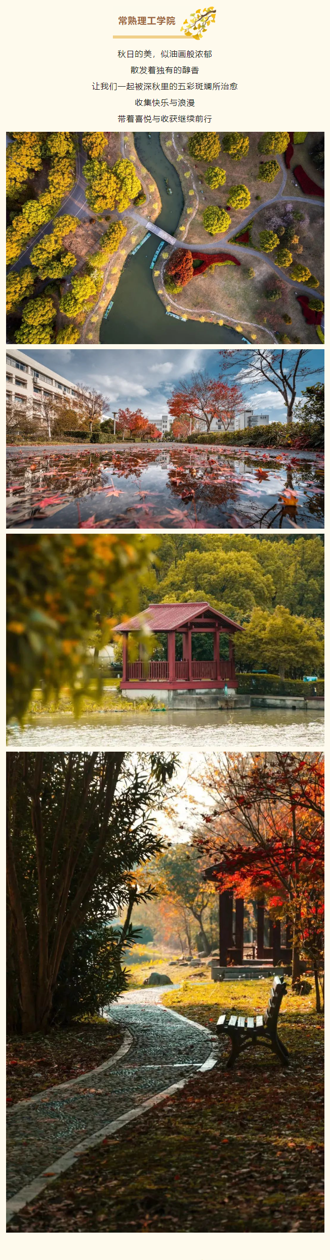 QQ截图20231115163803.png