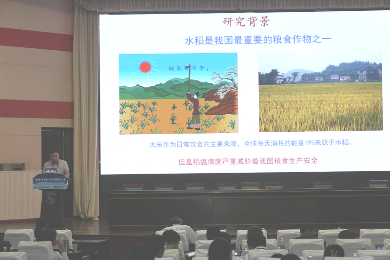 图片10.png