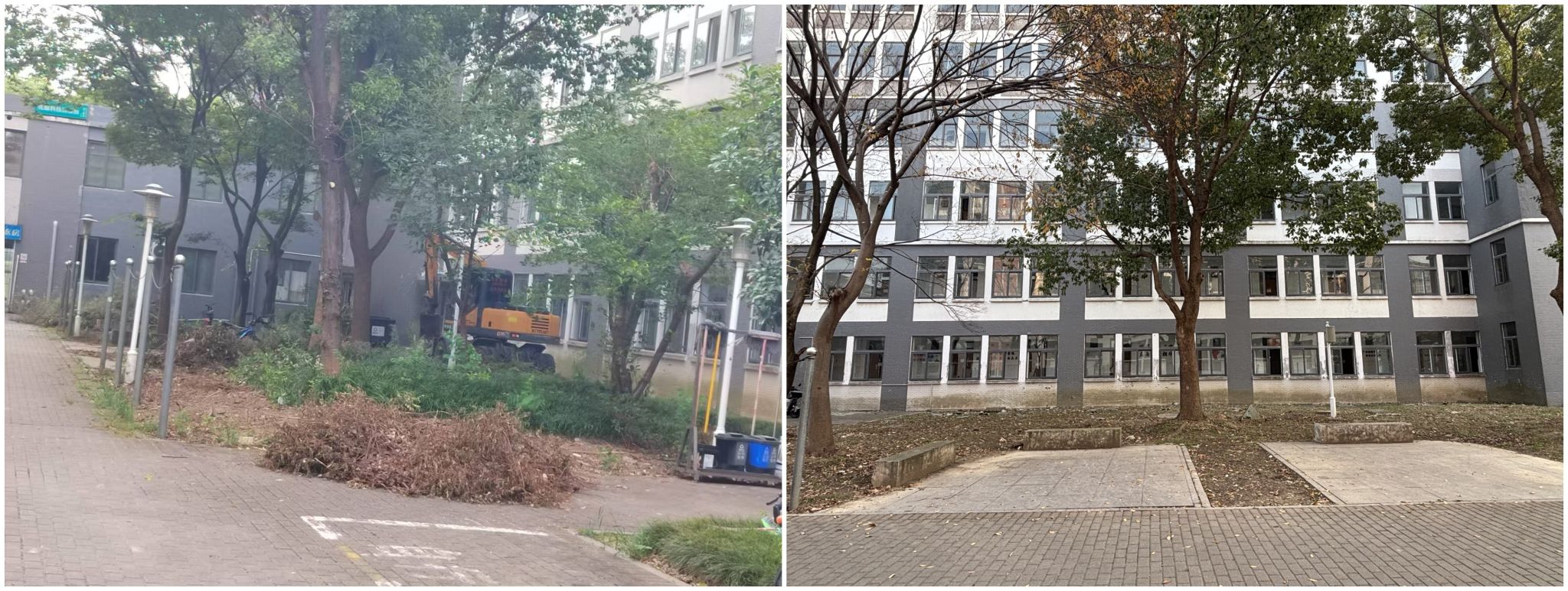 绿化修剪.jpg