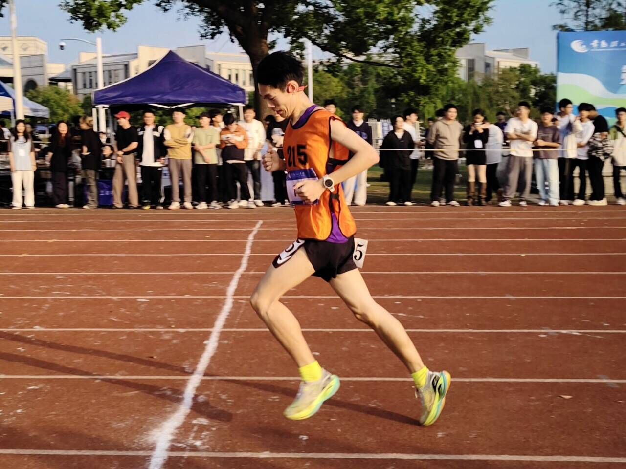 202410181729219274418081.jpg 202410181729219274418081.jpg