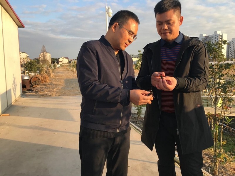 201912031575352007426601.jpg 微信图片_20191125100827.jpg