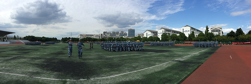 IMG_2247.jpg
