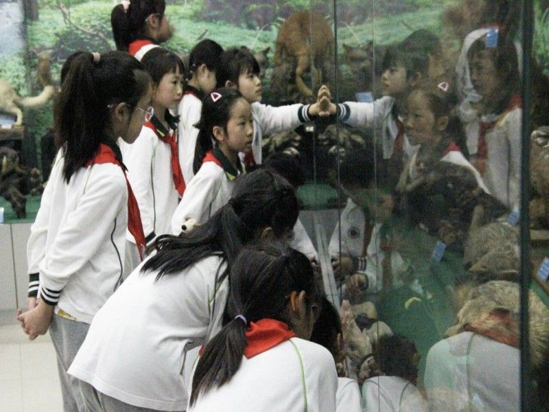 202404201713600887206040.jpg QQ图片20240420161211.jpg