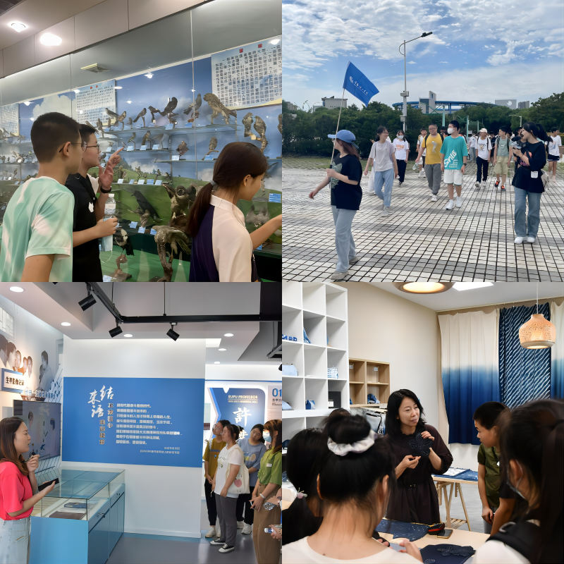 202307111689045189472375.png 拼图.png
