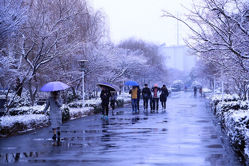 吴春年 (7).jpg