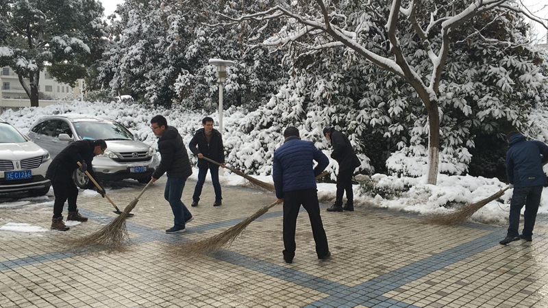 QQ图片20180126101136_副本.jpg