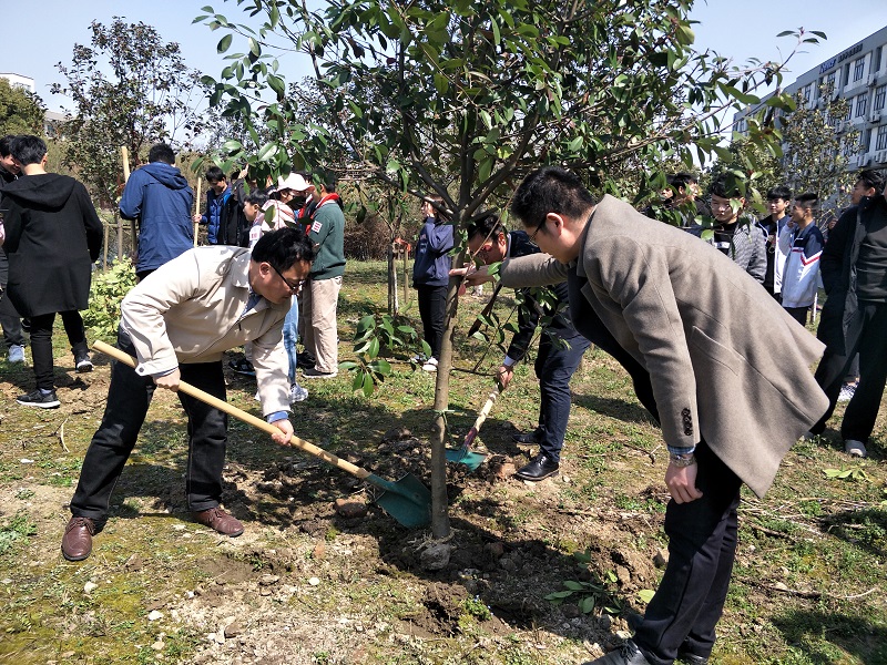 IMG20190312124523_1.jpg