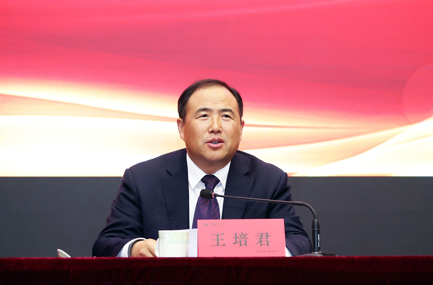 王培君书记讲话1.JPG