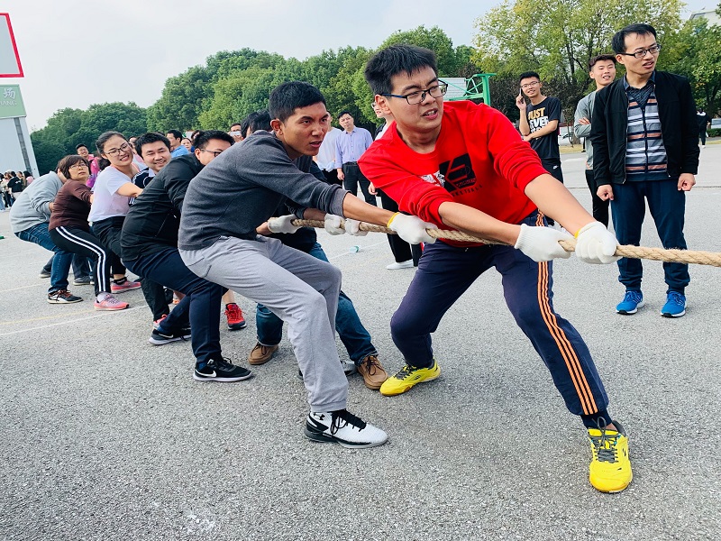 一等奖团结的力量杨蓉蓉.jpg