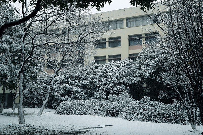 吴春年 (3).jpg