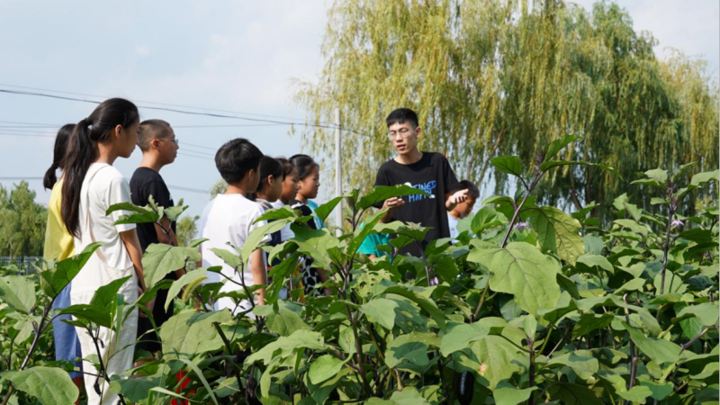 202208011659337339623993.png 商学院学子在瑶沟爱心暑托班带孩子们前往采摘园上劳动教育课.png