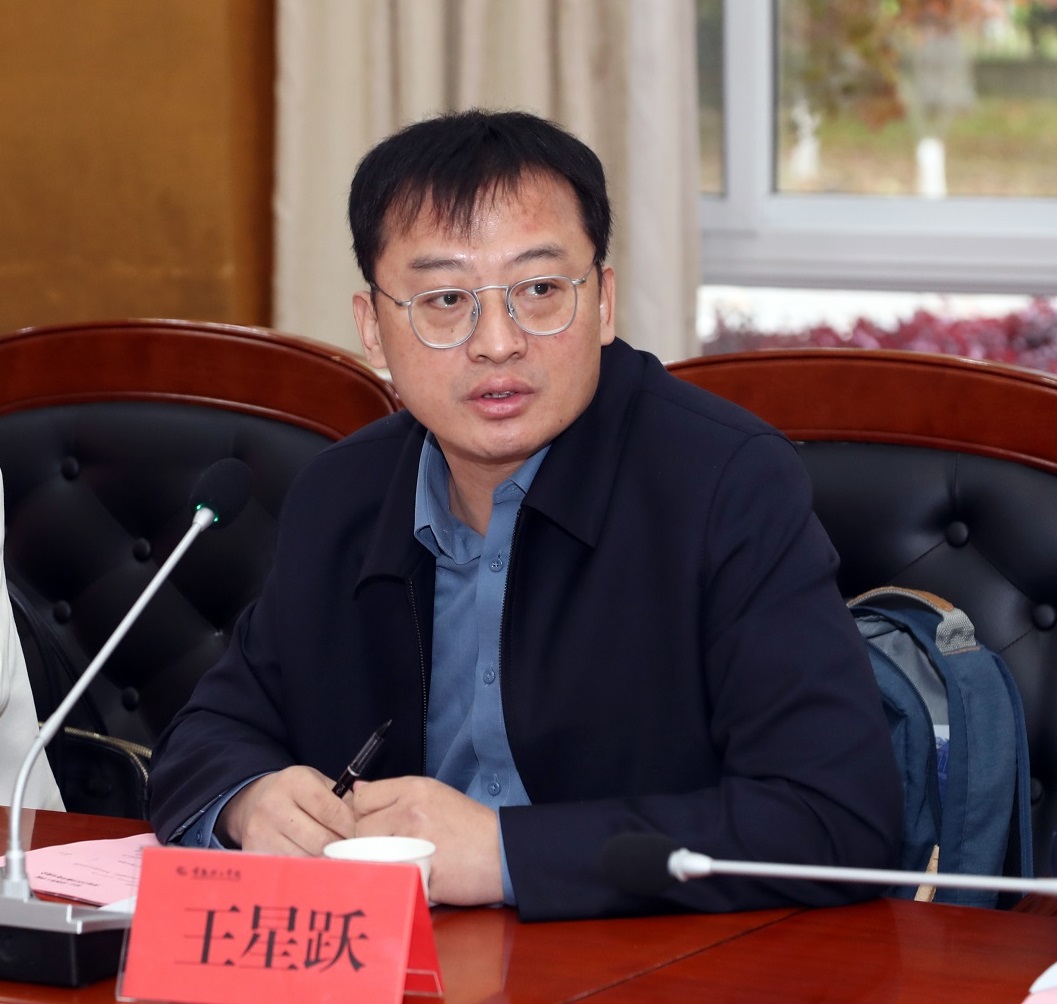 新一代电子信息产业团副团长王星跃介绍镇长团工作.JPG