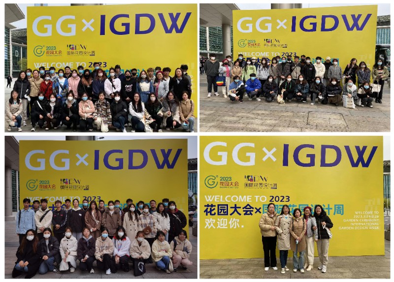 202303271679899946213007.jpg 未标题-1.jpg