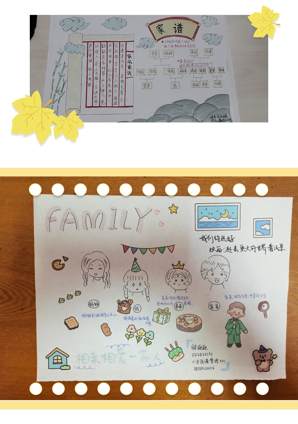 202304061680743997312755.jpg 家谱图3.jpg