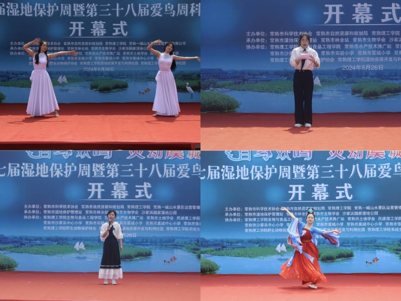 爱鸟周2.jpg