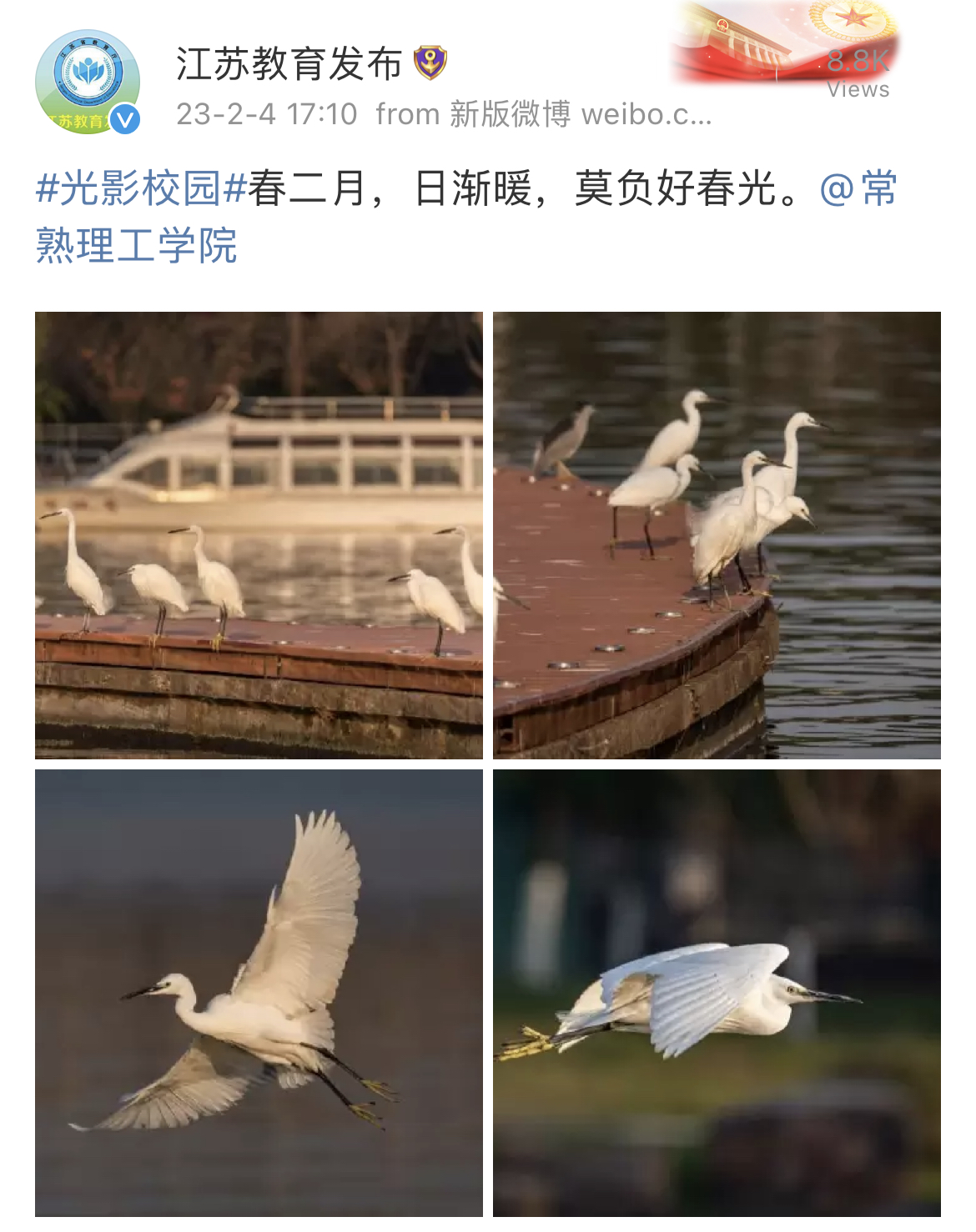 811100B1-6A2B-4F9C-BD2F-7DA45A644922.jpeg