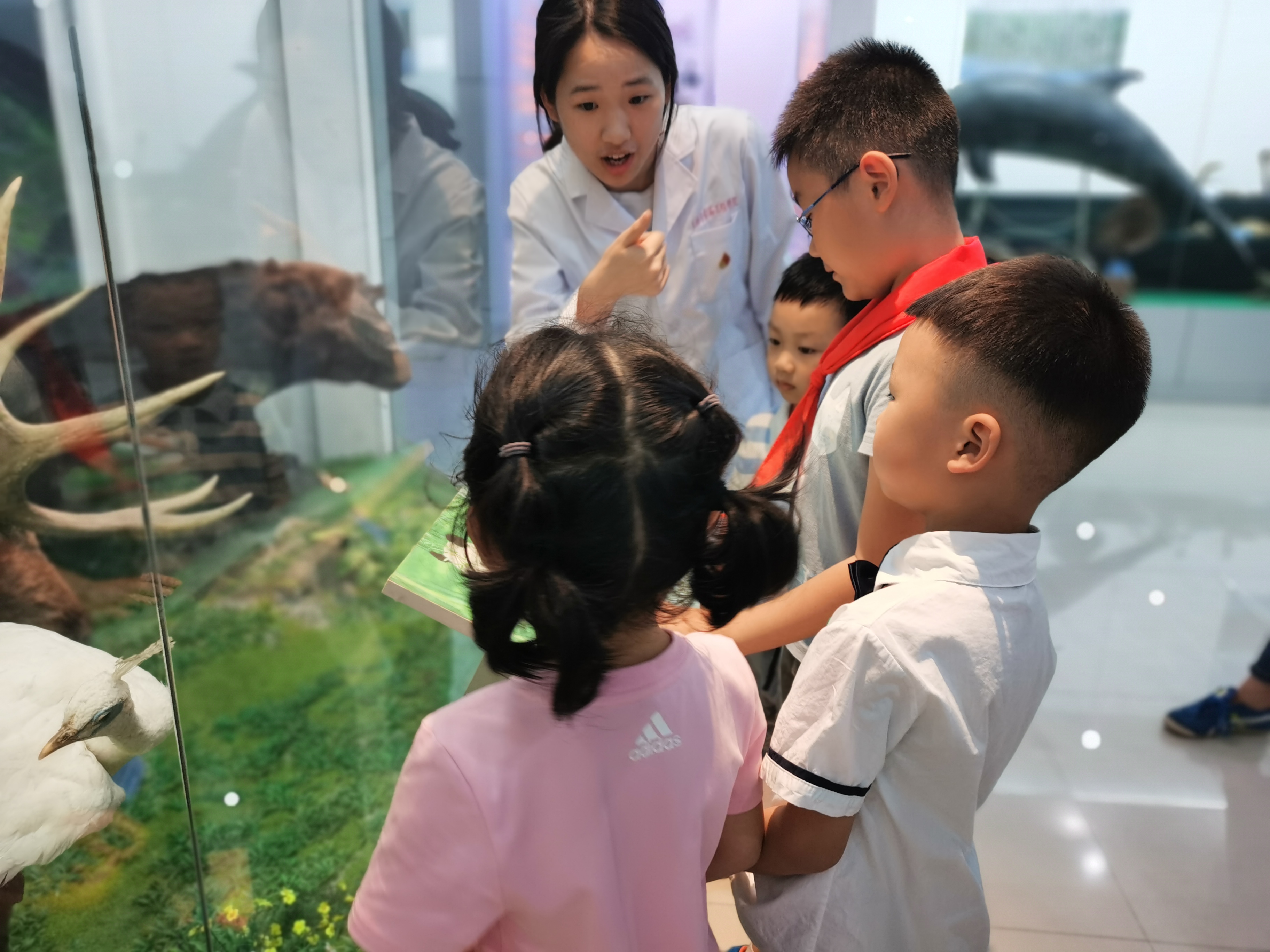 202105311622427778832248.jpg 标本馆.jpg