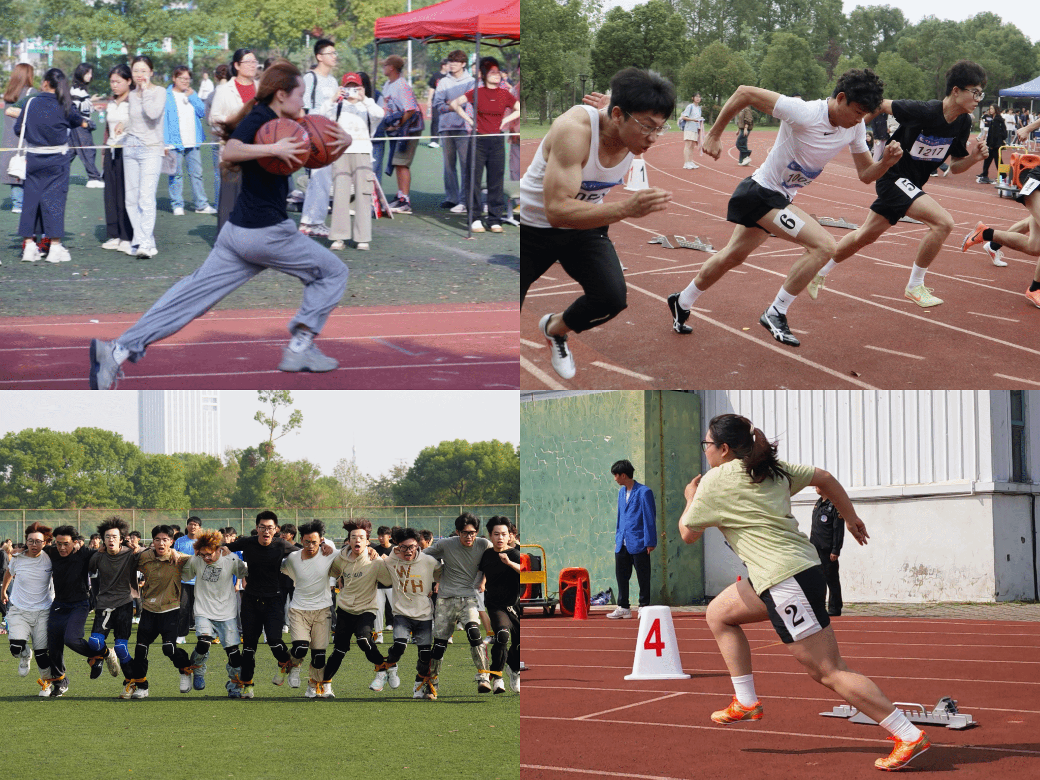 202410181729252859714852.jpg 202410181729252859714852.jpg